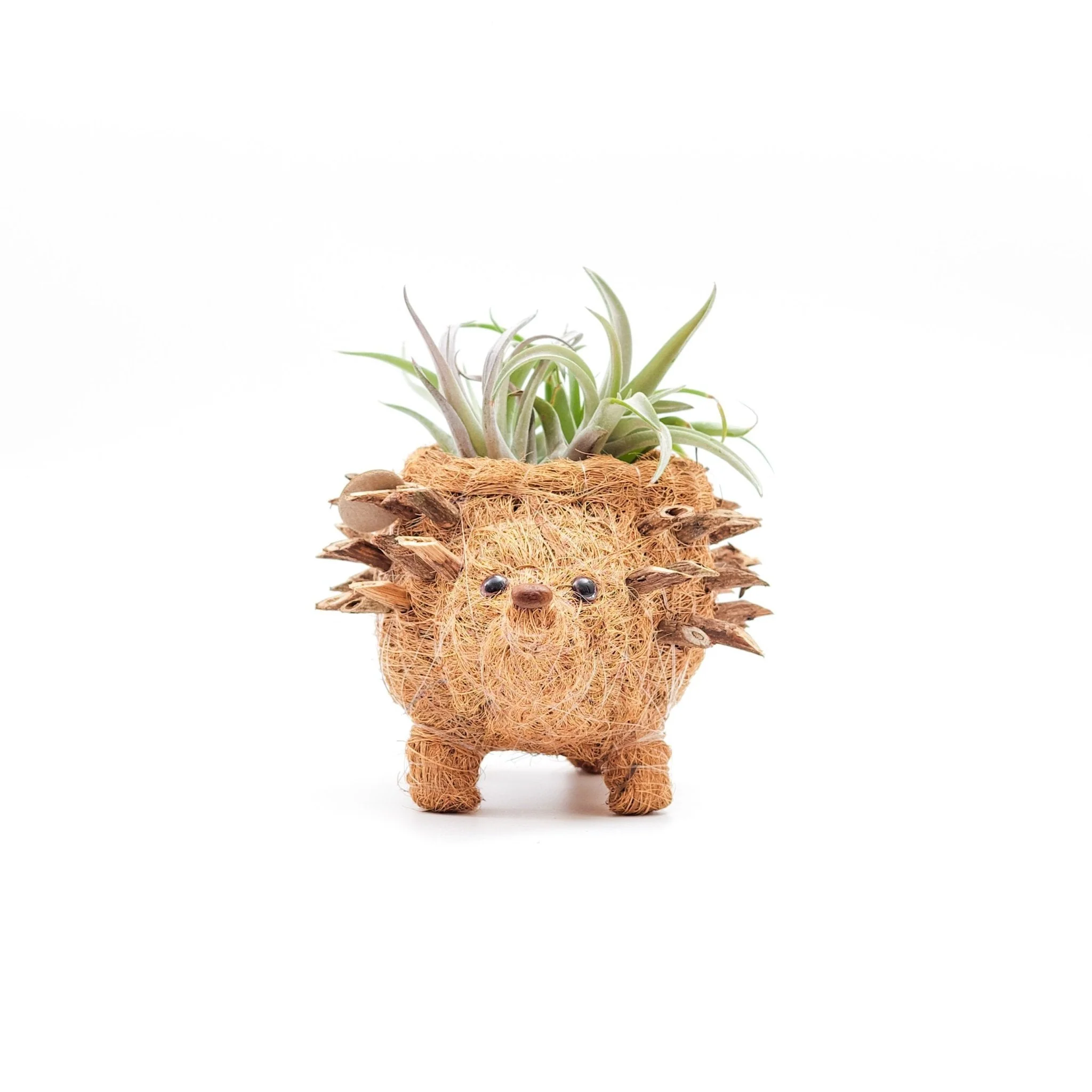 Baby Hedgehog Plant Pot - Handmade Planters