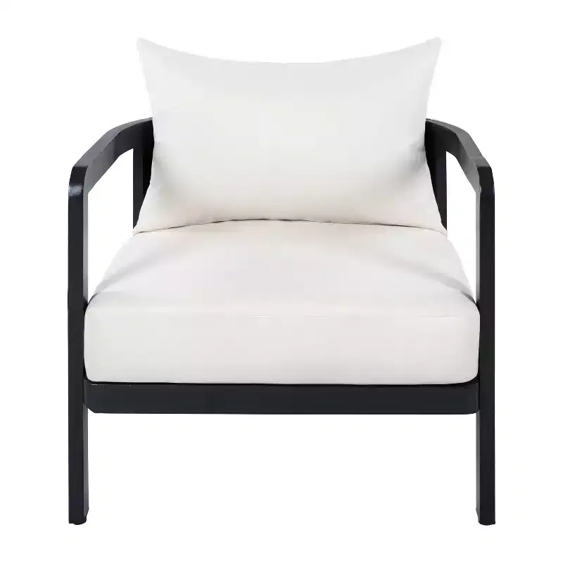 Christopher Knight Home Rosa Modern Aluminium Patio Accent Chairs with Curved Backrest and Cushion (Set of 2)