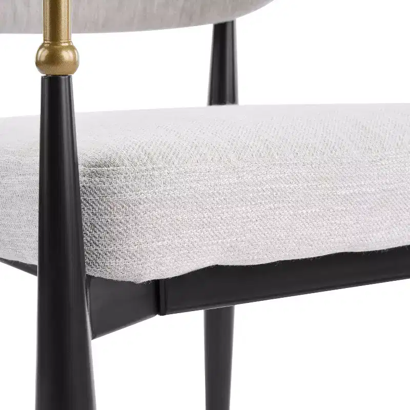 Christopher Knight Home Elodie Modern Upholstered Dining Chairs (Set of 2)