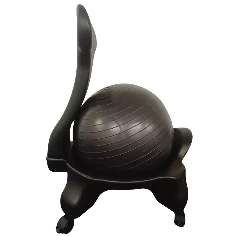 Bintiva Stability Ball Chair, Adult, Black/Black