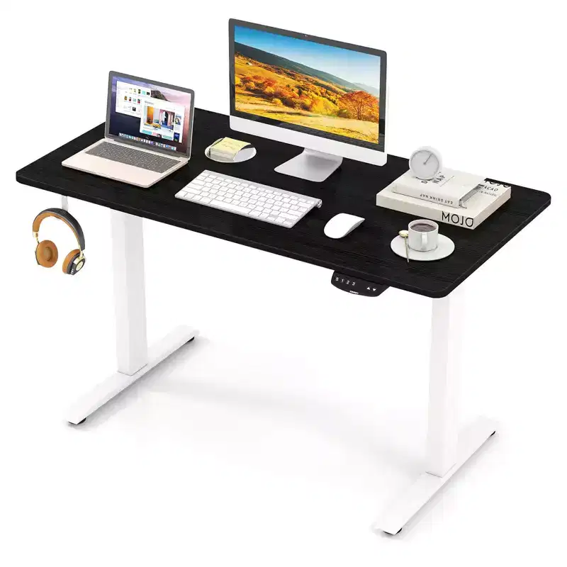 Costway Ergonomic Electric Adjustable Standing up Desk Dual Motor w/ Controller
