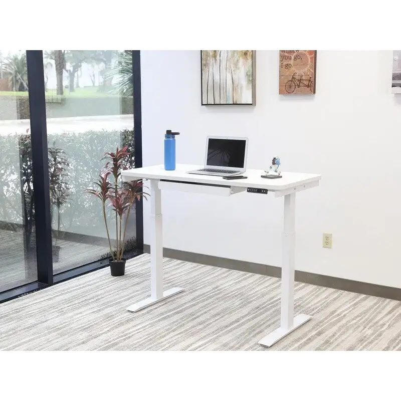 White / Graphite / Walnut / Black Electric Standing Desk, Single Person, 48
