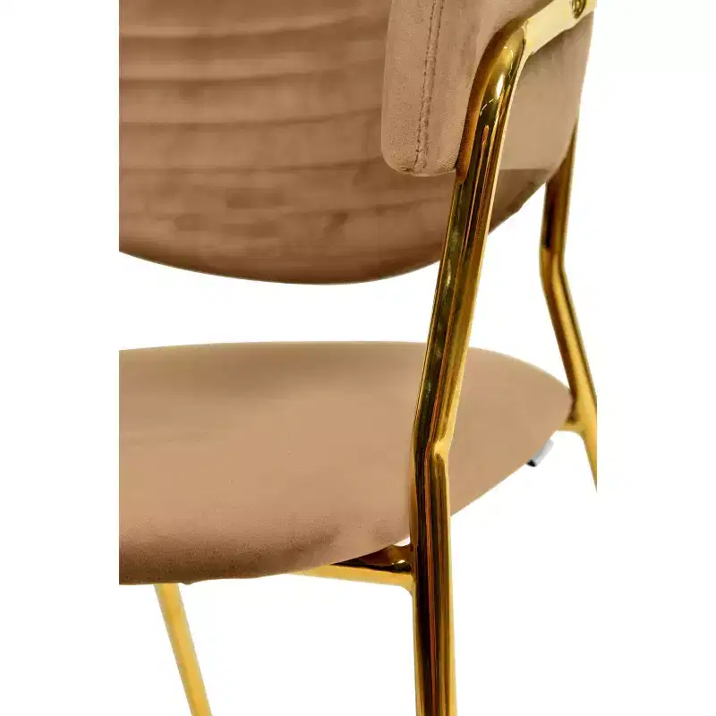 Upholstered Dining Chair Set of 2 Velvet Camelback Stainless Steel Legs 330 lbs