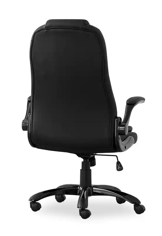 29.5 Executive Office Chair