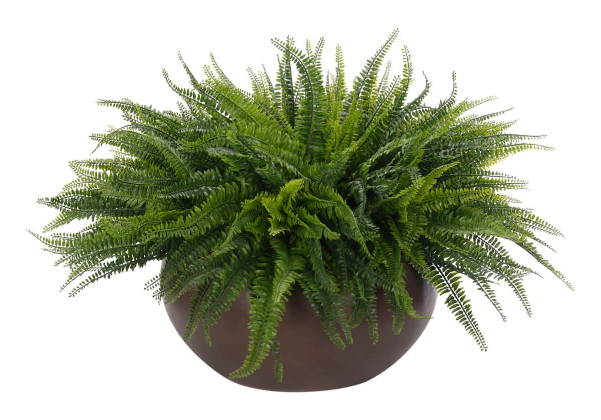 Botanical Synthetic Fern Plant with Concrete Bowl Planter for Living Room & Balcony