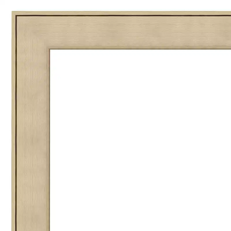 Classic Honey Silver Beveled Framed Wall Mirror