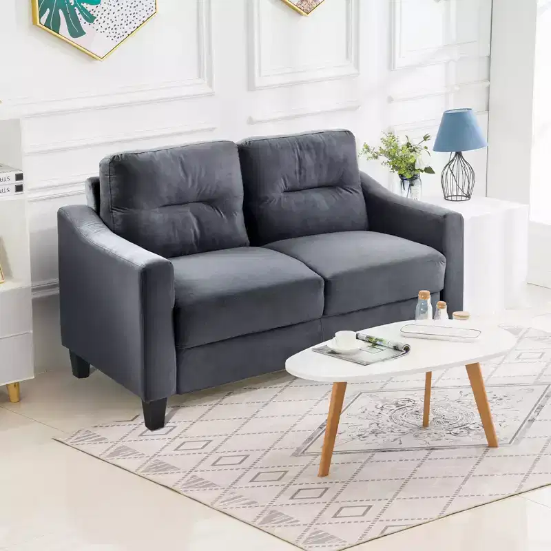 MAYEERTY Velvet Two Seater Sofa Comfortable for Living Room Small Space