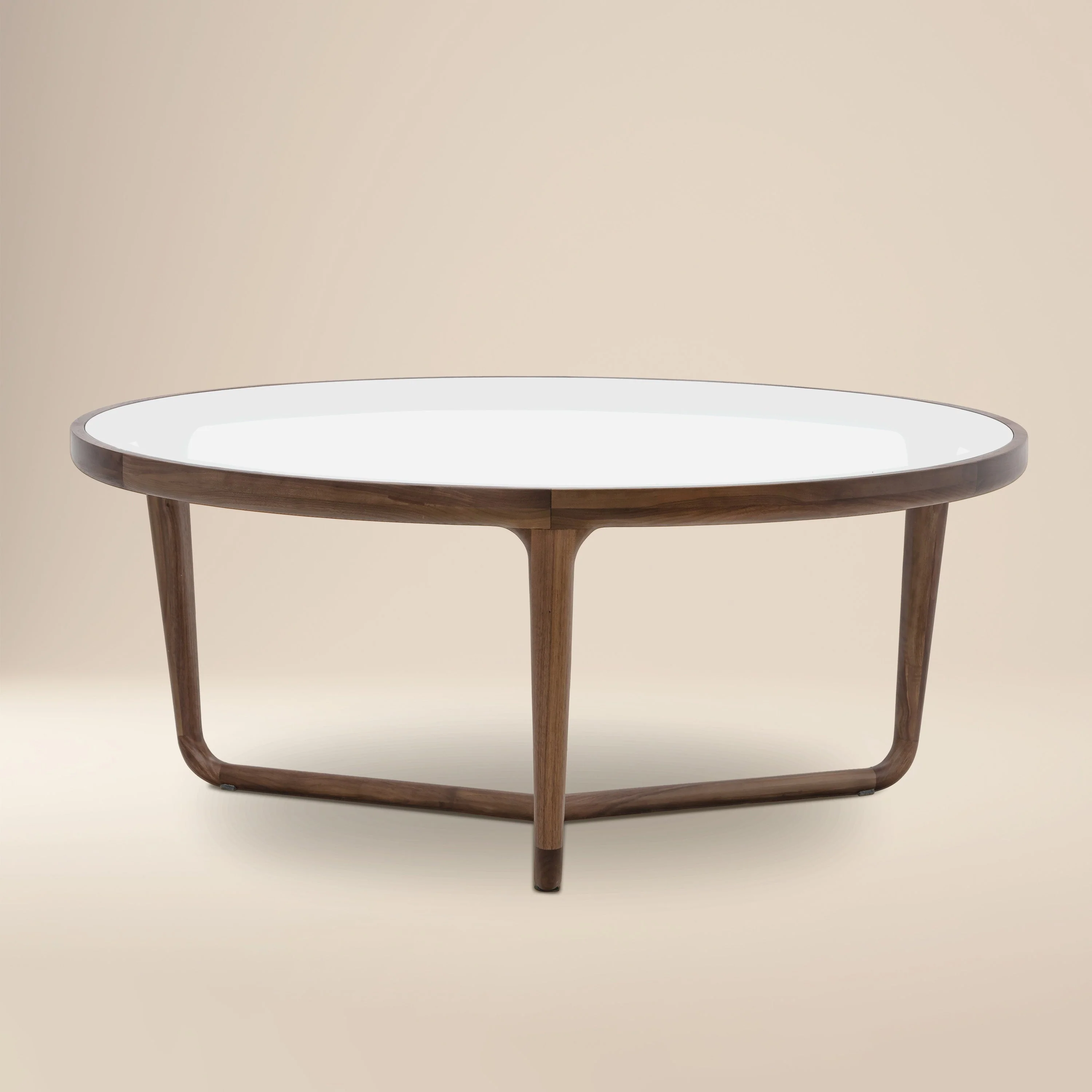 Modern Walnut Walnut Wood Coffee Table for Living Room