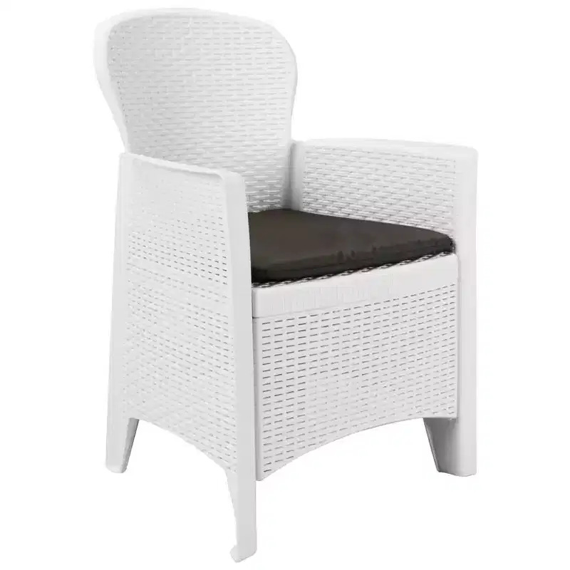 vidaXL Patio Chairs 2 Pcs Dining Single Chair with Cushion Plastic Rattan Look
