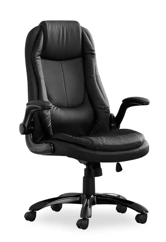 29.5 Executive Office Chair