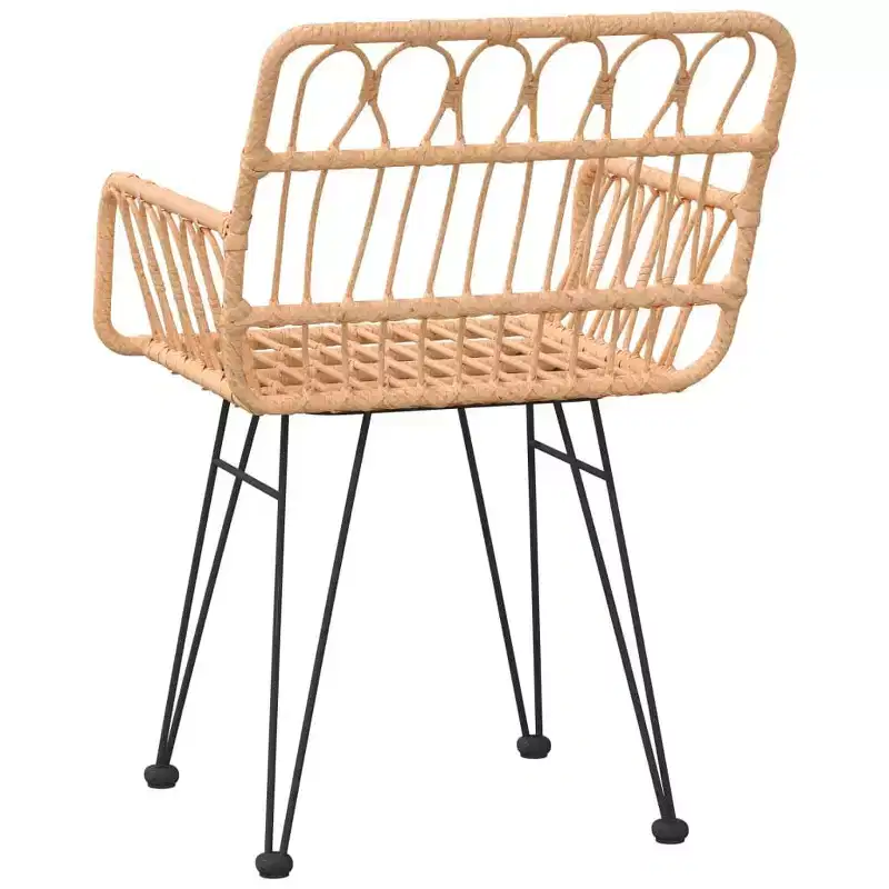 vidaXL Garden Chairs Set of 2 with Armrests, PE Rattan