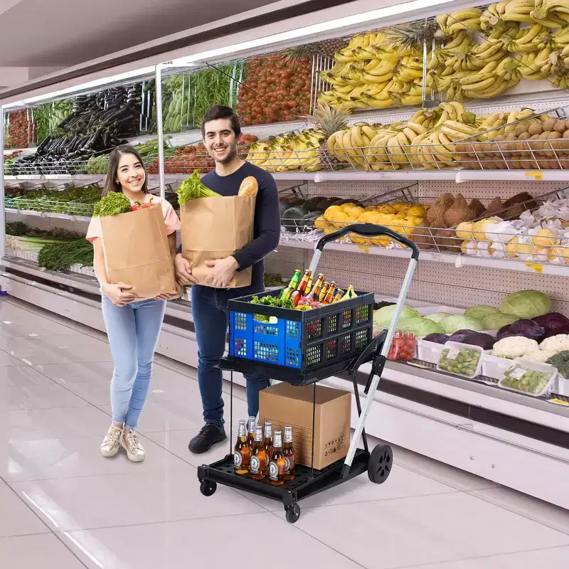2 Tier Folding Shopping Carts for Groceries, 198 LB Capacity, Collapsible Portable Grocery Cart with Wheels & Removable Crate for Mall Market, Blue