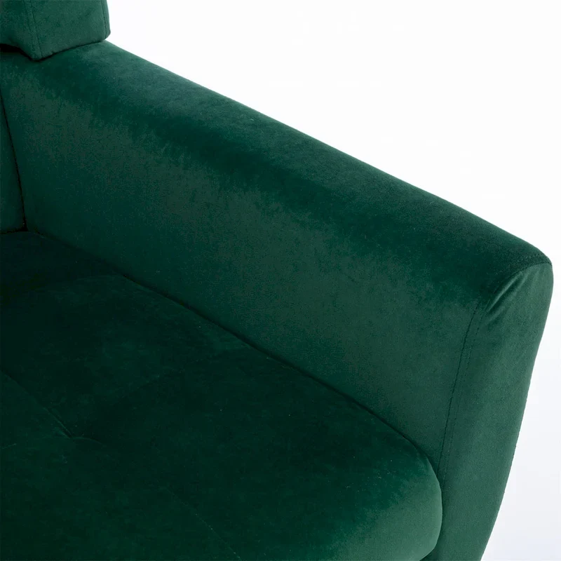 Modern Soft Velvet Ergonomics Accent Chair Living Room Chair Bedroom Chair Home Chair With Black Legs